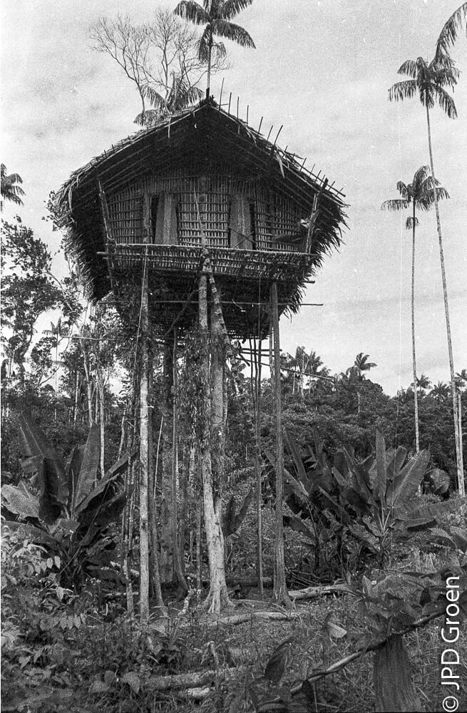 rumah tingi