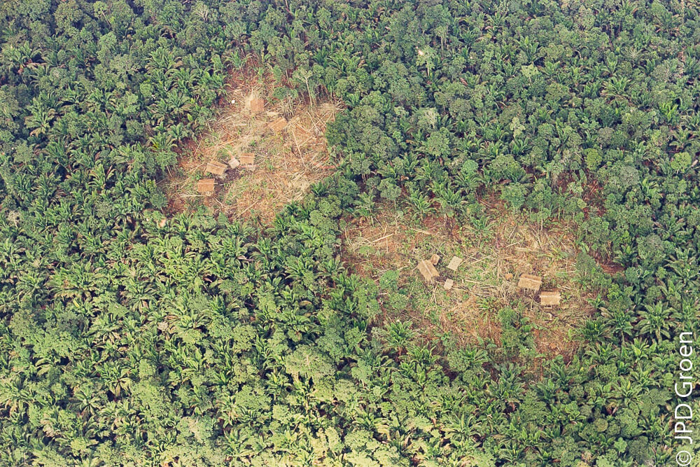 rumah-rumah tinggi di Korowai