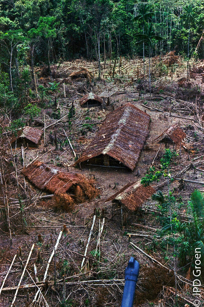 Tempat pesta ulat sagu